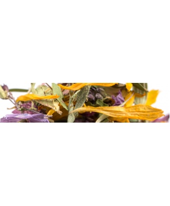infusion_2